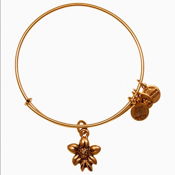 Alex and Ani Jewelry - Alex and Ani Apple Blossom Charm Bracelet